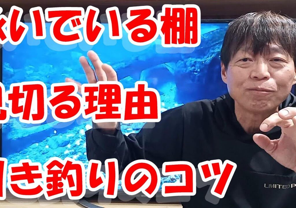 鮎釣り A-12 2025年1月14日 質問はこちらから  https://youtu.be/8yRHBYkqfmk