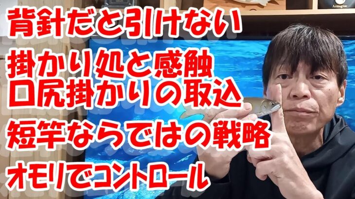 鮎釣り A-17 2025年1月20日 質問はこちらから  https://youtu.be/8yRHBYkqfmk