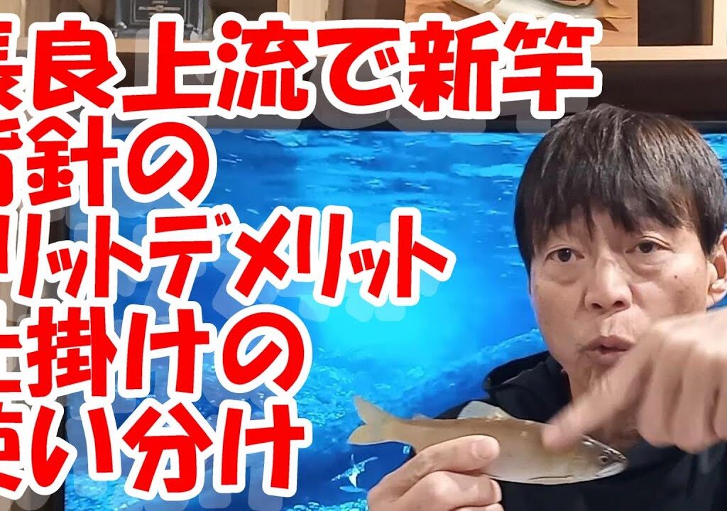 鮎釣り A-9 2025年1月4日 質問はこちらから  https://youtu.be/8yRHBYkqfmk