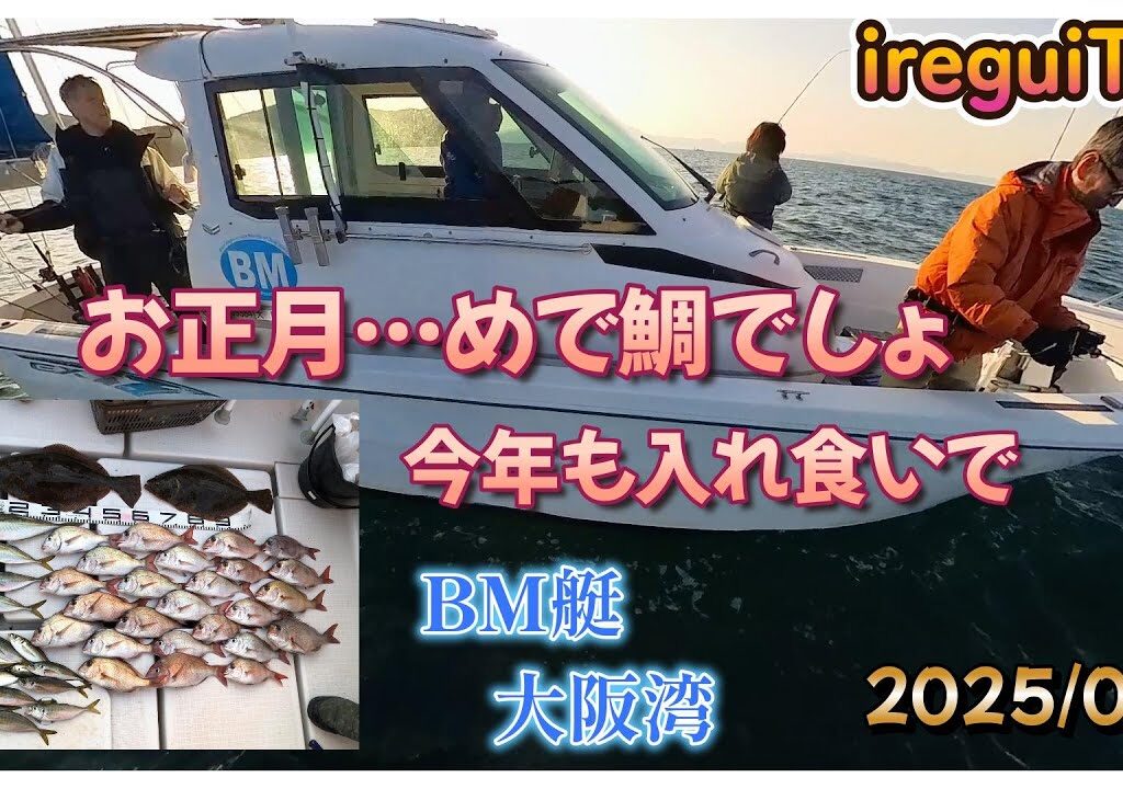 【入れ食いTV】BM艇今年初の出航です。正月なのでブリ&鯛狙いですが今年もヒラメ釣れるんだなぁ　ireguiTV  https://youtu.be/PHxcS6tSL-Y