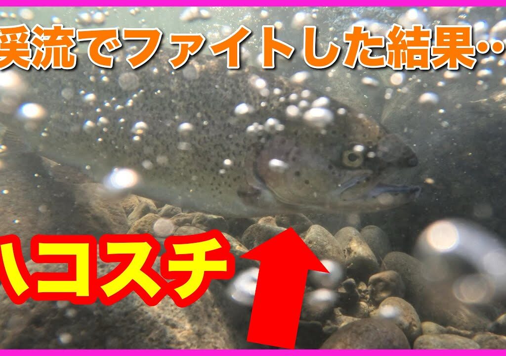 【渓流釣り】放流された巨大魚と勝負する。