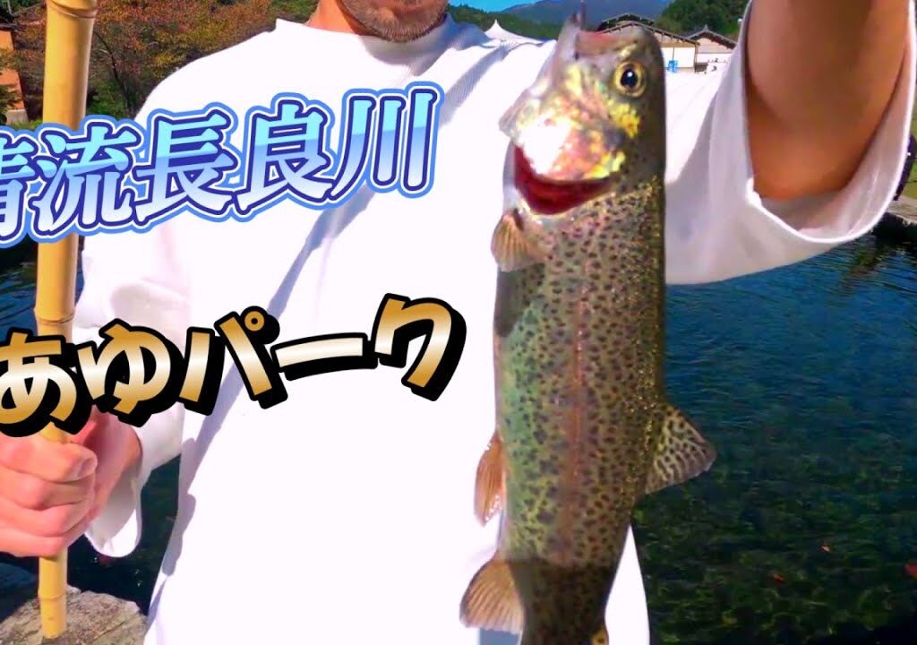 管釣り　清流長良川　あゆパーク　ニジマス釣って鮎手つかみして食らう！
