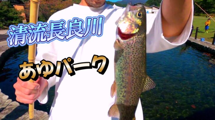 管釣り　清流長良川　あゆパーク　ニジマス釣って鮎手つかみして食らう！
