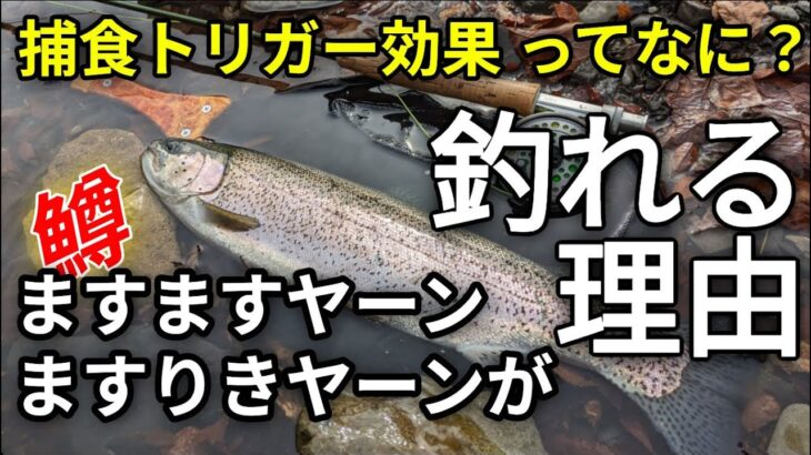 フライフィッシング【釣れる！ますますヤーン　ますりきヤーン】グルグル系フライマテリアル／管理釣り場／鱒々屋／捕食トリガー効果