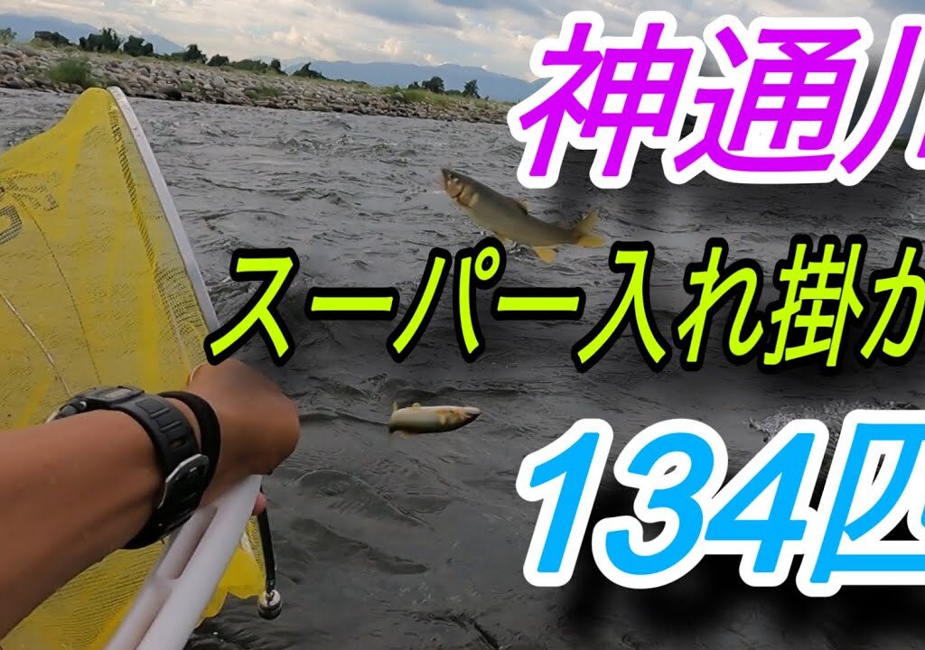 スーパー入れ掛かり134匹　神通川