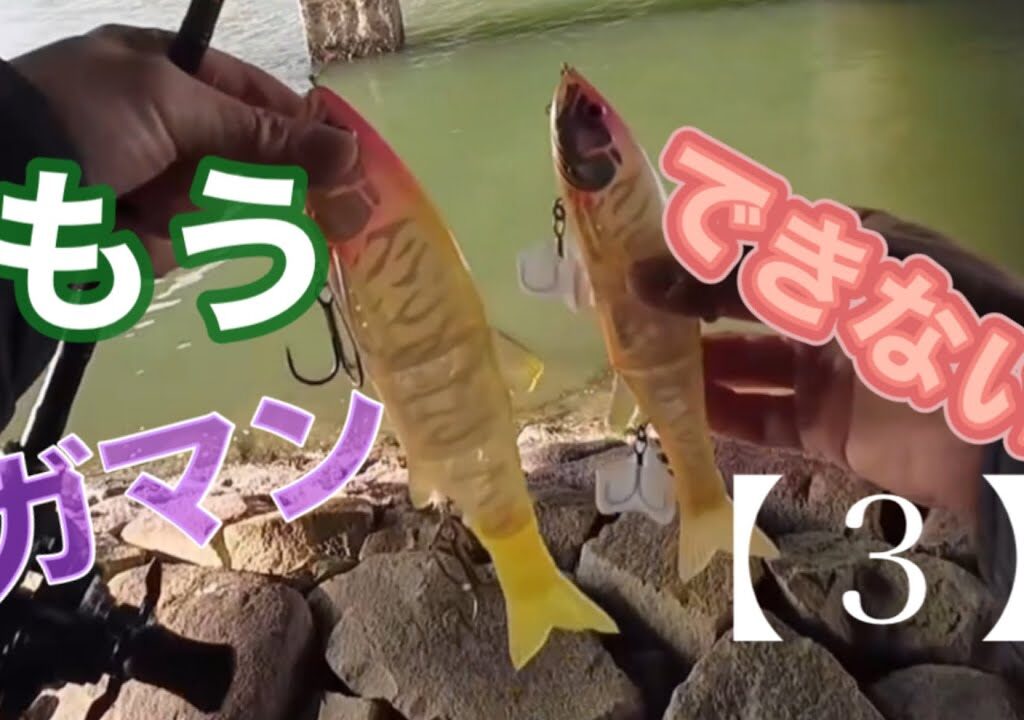 ＃164 たいチャンネル釣行記🎣もうガマンできない💦　【３】　朝まずめ夕まずめシーバスセイゴスズキ天竜川河口九頭竜川遠州灘東京湾遠州灘田原サーフ