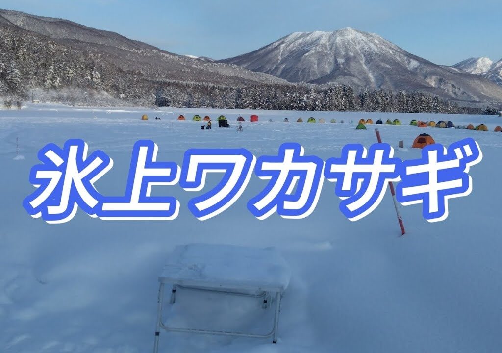 【ワカサギ釣り】2年ぶりにオープンした霊仙寺湖氷上ワカサギで当たりを拾うのに苦戦しました