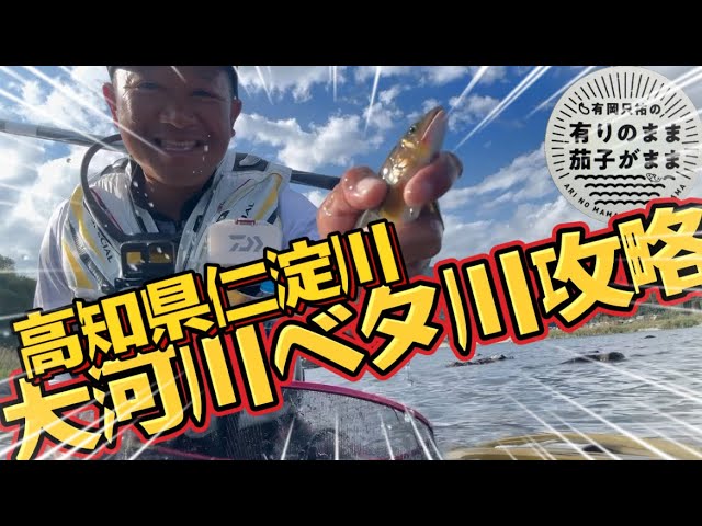 【鮎釣り】2024/10/10 2024ダイワ鮎マスターズ開催地仁淀川を釣る！