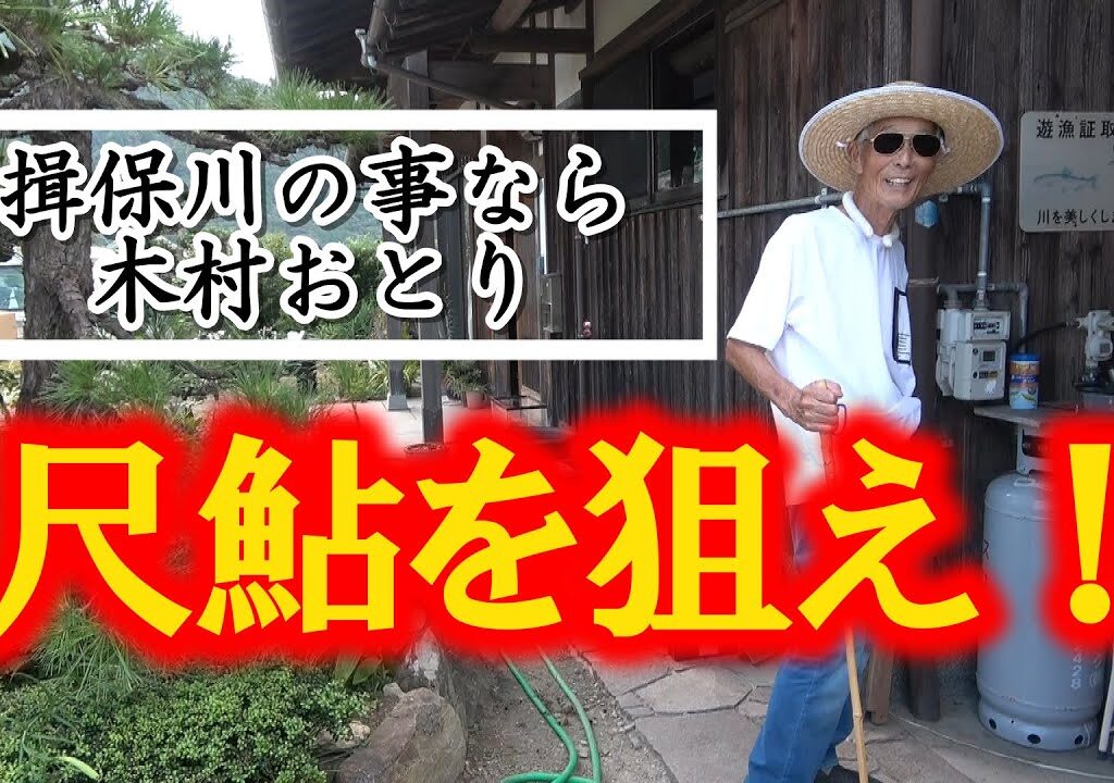 2024年9月揖保川で尺鮎を狙う！！