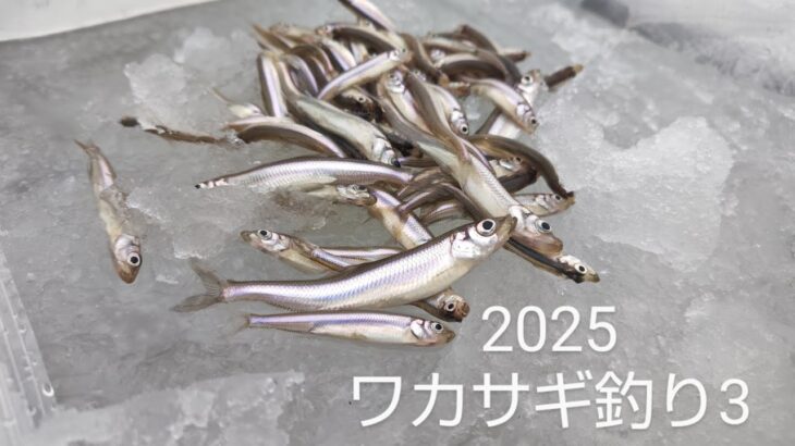 2025ワカサギ釣り３