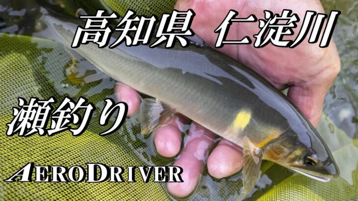 【2025鮎釣り】仁淀川 出来地の瀬 エアロドライバーＨ90で瀬釣り