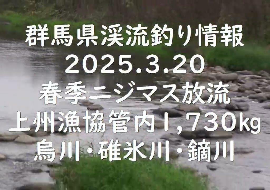 群馬県渓流釣り情報2025.3.20　上州漁協管内　ニジマス放流　烏川・碓氷川・鏑川