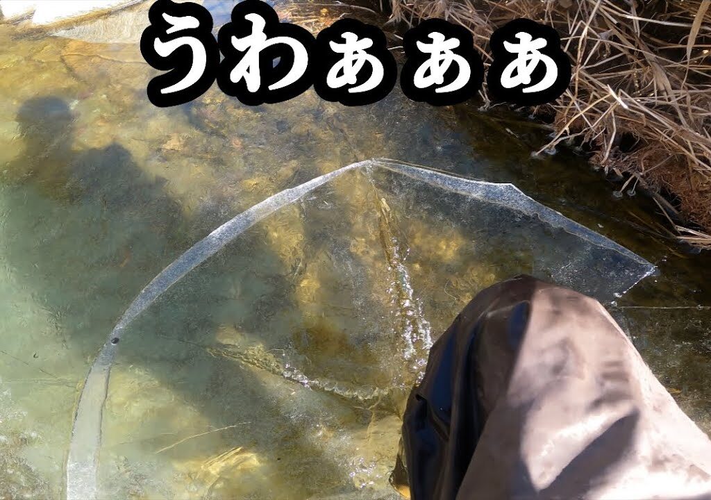 【2025渓流釣り解禁】朝の1時間だけ釣行始めます。