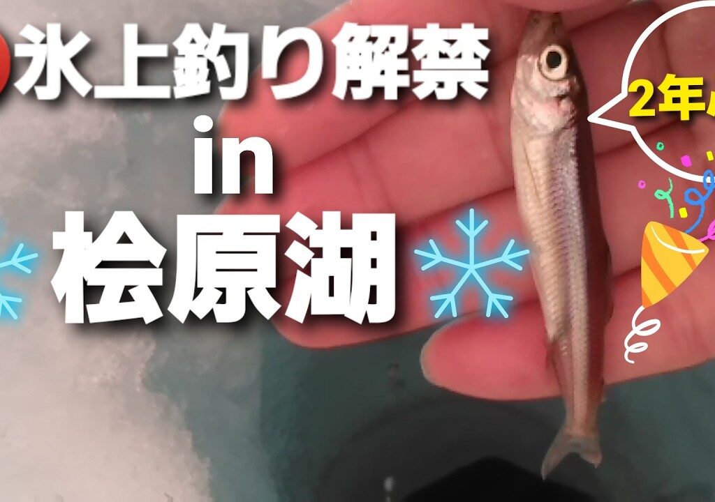 【ワカサギ釣り】2025氷上釣り解禁㏌桧原湖【自作の竿】で100匹目指せ！