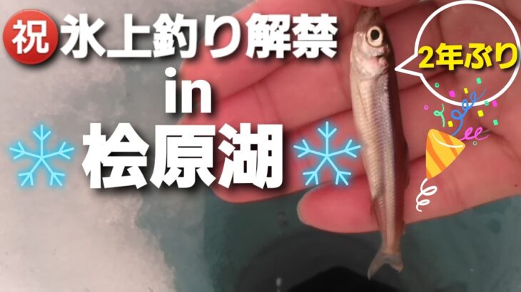 【ワカサギ釣り】2025氷上釣り解禁㏌桧原湖【自作の竿】で100匹目指せ！