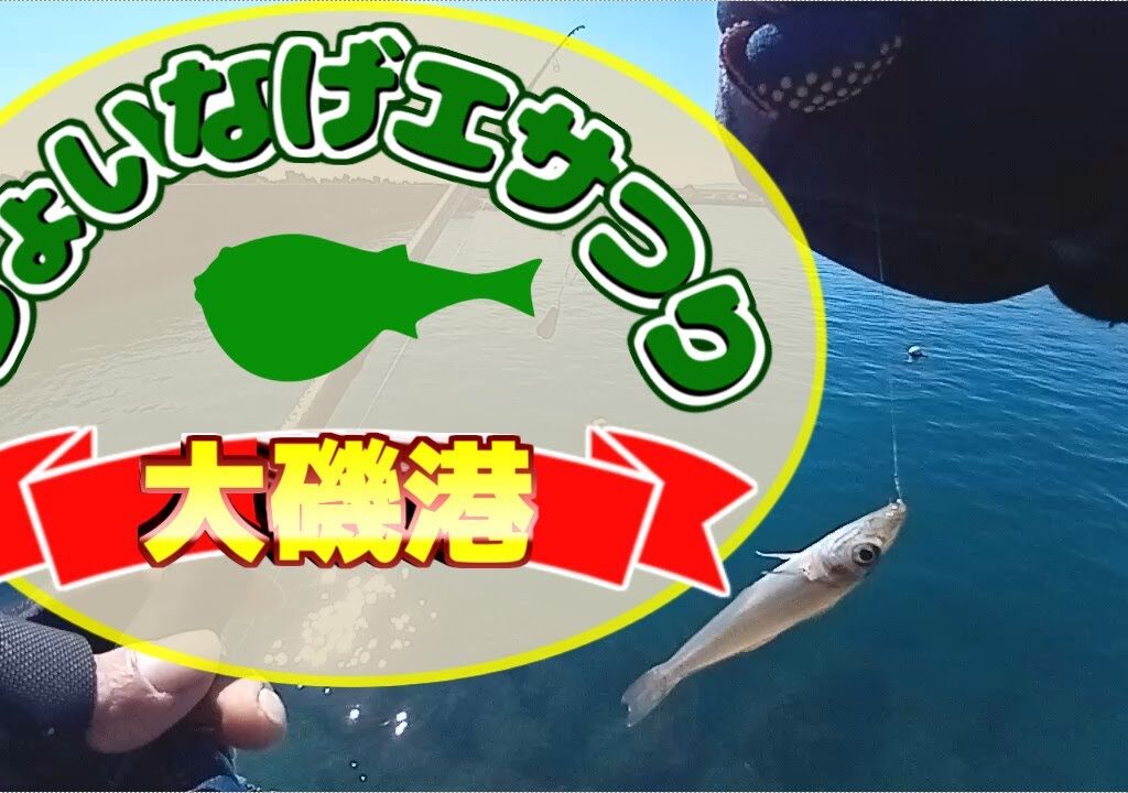 大磯港でちょい投げ、エサ釣り【2025年2月下旬】