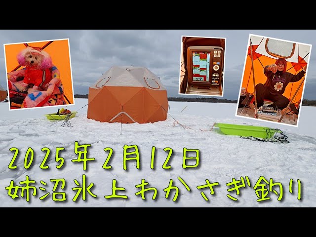 【2025年2月12日】姉沼に氷上ワカサギ釣り行ってきました。（プロックス、パオグラン、湖水汲み上げポンプ、クリーク、ディアブロコブラ、ダイワ、クリスティア、誘惑、ＡＧＳ、他）