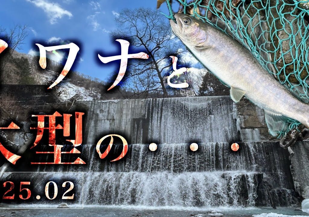 ●イワナと大型ゲット　2025解禁数日後の短時間釣行　４K