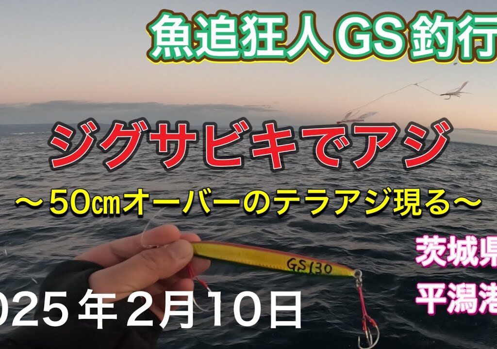 ジグサビキでアジ！50㎝オーバーのテラアジ現るvol.1 魚追狂人GS釣行録