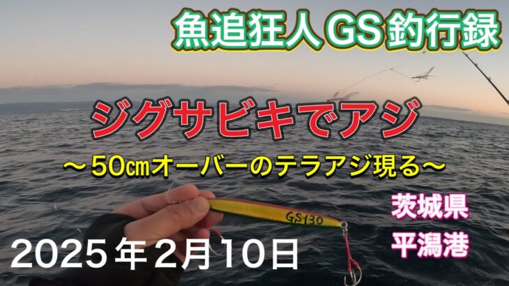 ジグサビキでアジ！50㎝オーバーのテラアジ現るvol.1 魚追狂人GS釣行録