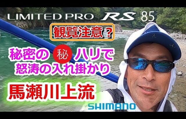 #81【癒しの馬瀬川上流最高！！】リミテッドプロRS85の性能発揮！★鮎 入れ追い