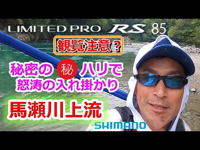 #81【癒しの馬瀬川上流最高！！】リミテッドプロRS85の性能発揮！★鮎 入れ追い