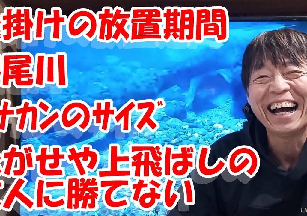鮎釣り A-30 2025年2月2日 質問はこちらから  https://youtu.be/8yRHBYkqfmk