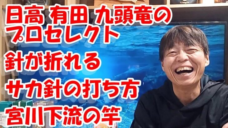 鮎釣り A-34 2025年2月9日 質問はこちらから  https://youtu.be/8yRHBYkqfmk