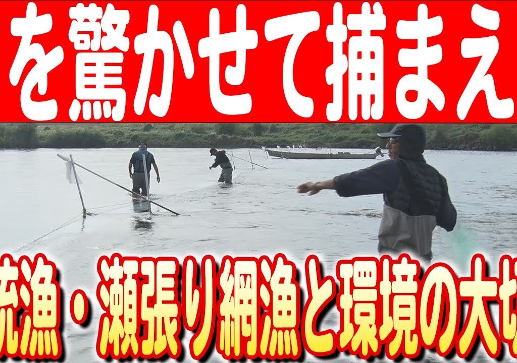 【経験と根気】 ”落ち鮎”を狙う！伝統漁法・瀬張り網漁の仕組みと鮎、環境を守る大切さ　日本財団 海と日本PROJECT in 岐阜 2024 #16
