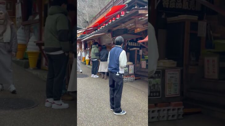 箕面大滝  #shorts #代表  #観光 #観光スポット #大阪美食 #グルメ #鮎の塩焼き