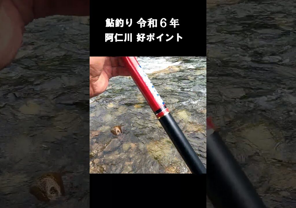 鮎釣り 令和６年 阿仁川好ポイント#shorts #阿仁川＃鮎釣り＃