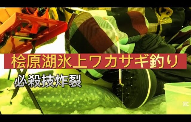 あの、必殺技炸裂！桧原湖氷上ワカサギ釣り！