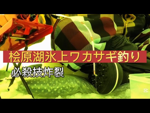あの、必殺技炸裂！桧原湖氷上ワカサギ釣り！