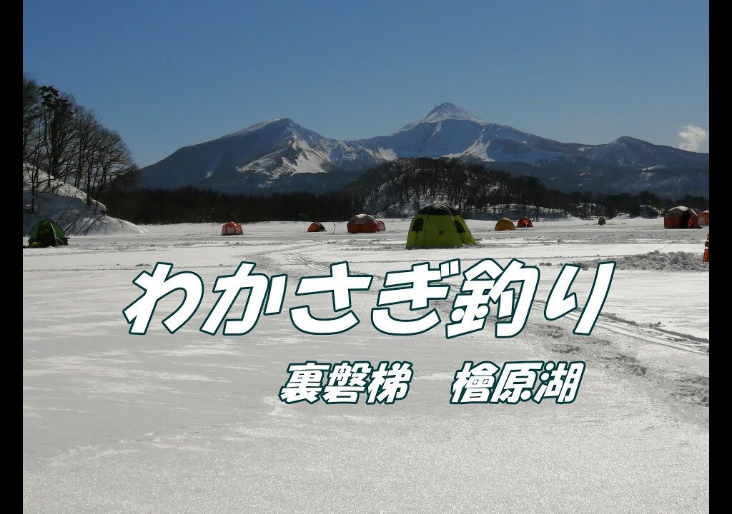 氷上わかさぎ釣りに裏磐梯檜原湖に行ってきました。【ワカサギ釣り】