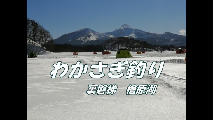 氷上わかさぎ釣りに裏磐梯檜原湖に行ってきました。【ワカサギ釣り】