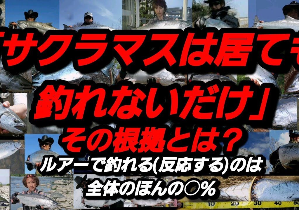 ｢サクラマスはあります！｣。実績を実感した時に初めて判る事とは？