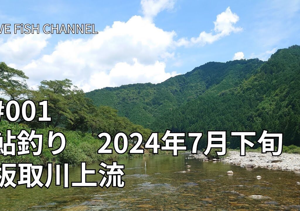 鮎釣り#1  2024年7月下旬 板取川上流