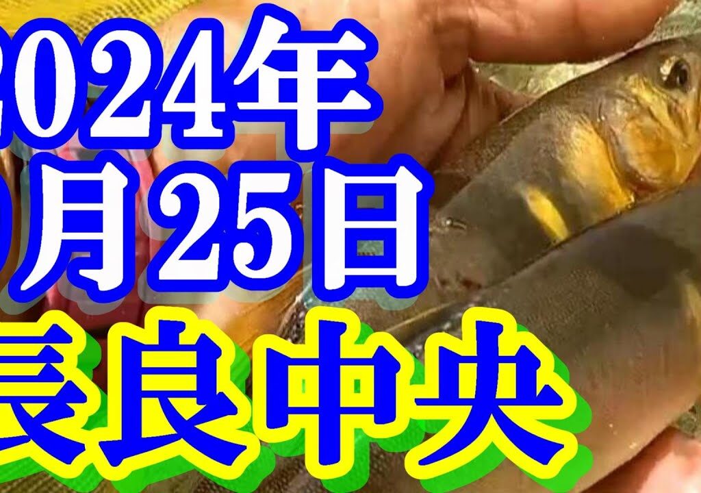 鮎釣り 10cm高引水 鮎の瀬 お御手洗 長良川中央 2024年