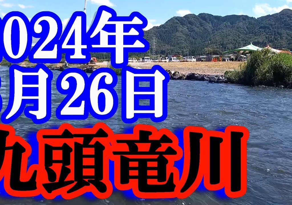 鮎釣り  -15cm垢良好 谷口  九頭竜川 2024年