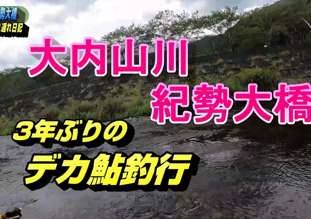2024 08 21酷暑＆渇水の大内山川  3年ぶりのデカ鮎釣行