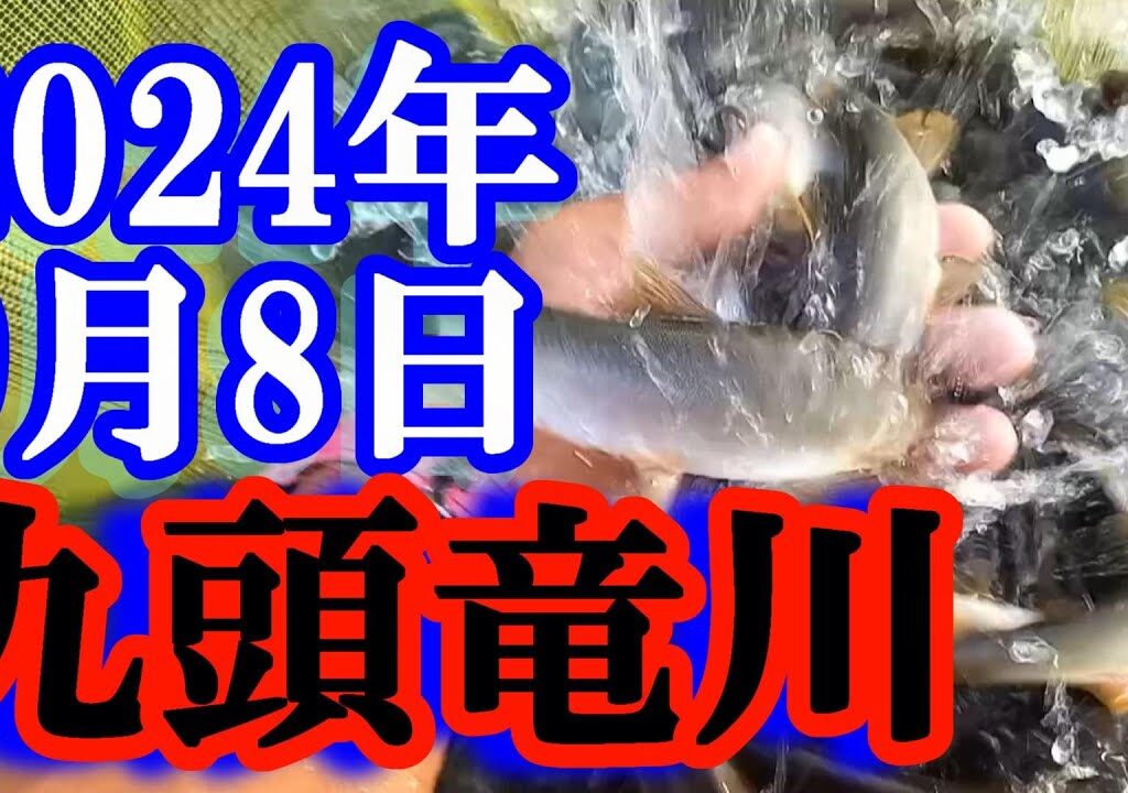 鮎釣り 平水クリア  谷口 九頭竜川 2024年
