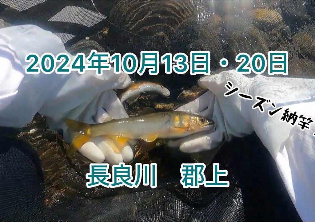 【鮎釣り】2024年シーズン納竿編🎣