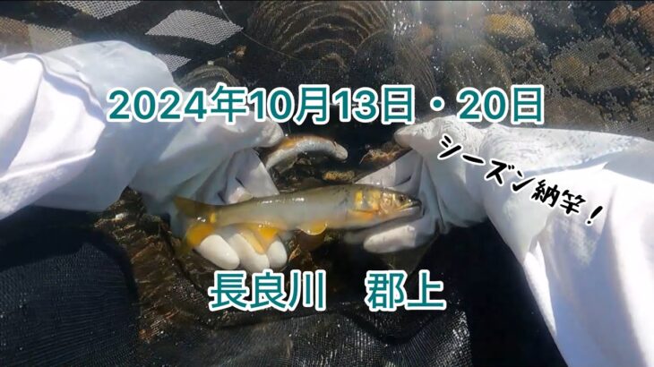 【鮎釣り】2024年シーズン納竿編🎣