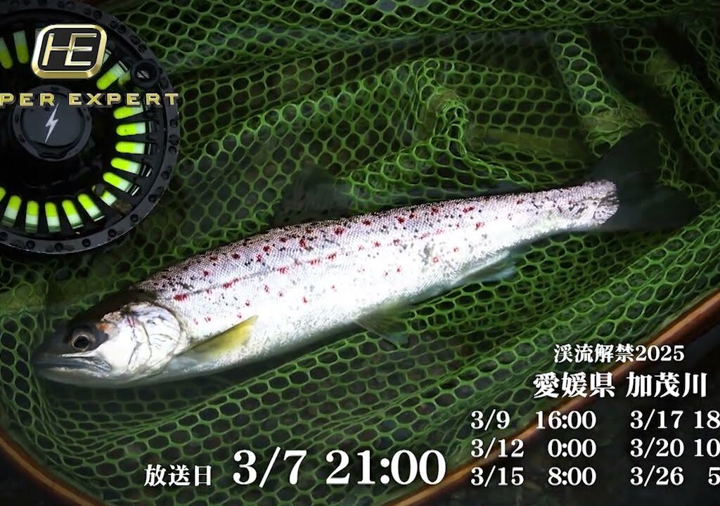 渓流解禁2025 愛媛県加茂川【釣りビジョン番組紹介】