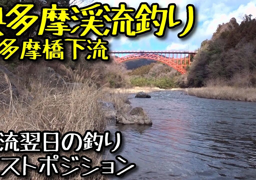 2025 奥多摩渓流釣り 奥多摩橋下流の釣り