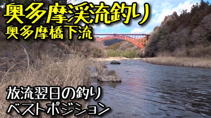 2025 奥多摩渓流釣り 奥多摩橋下流の釣り