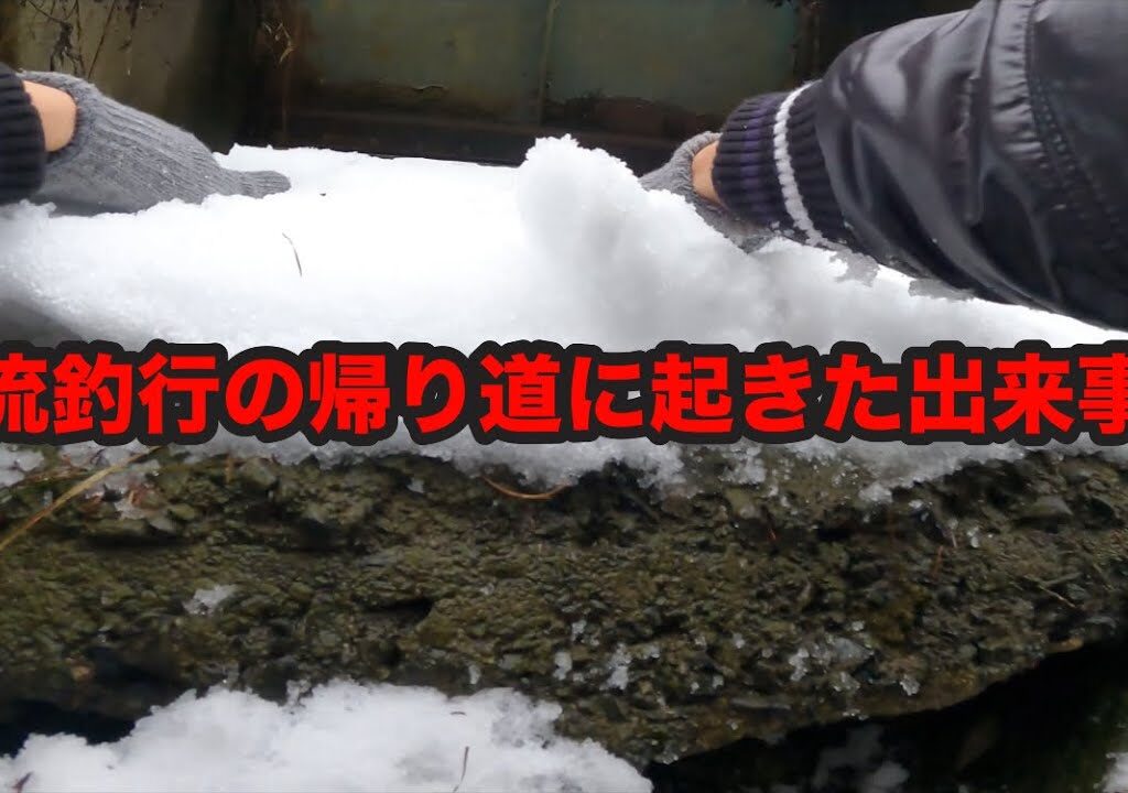 【2025渓流釣り解禁】源流釣行の帰り道に起きた出来事…