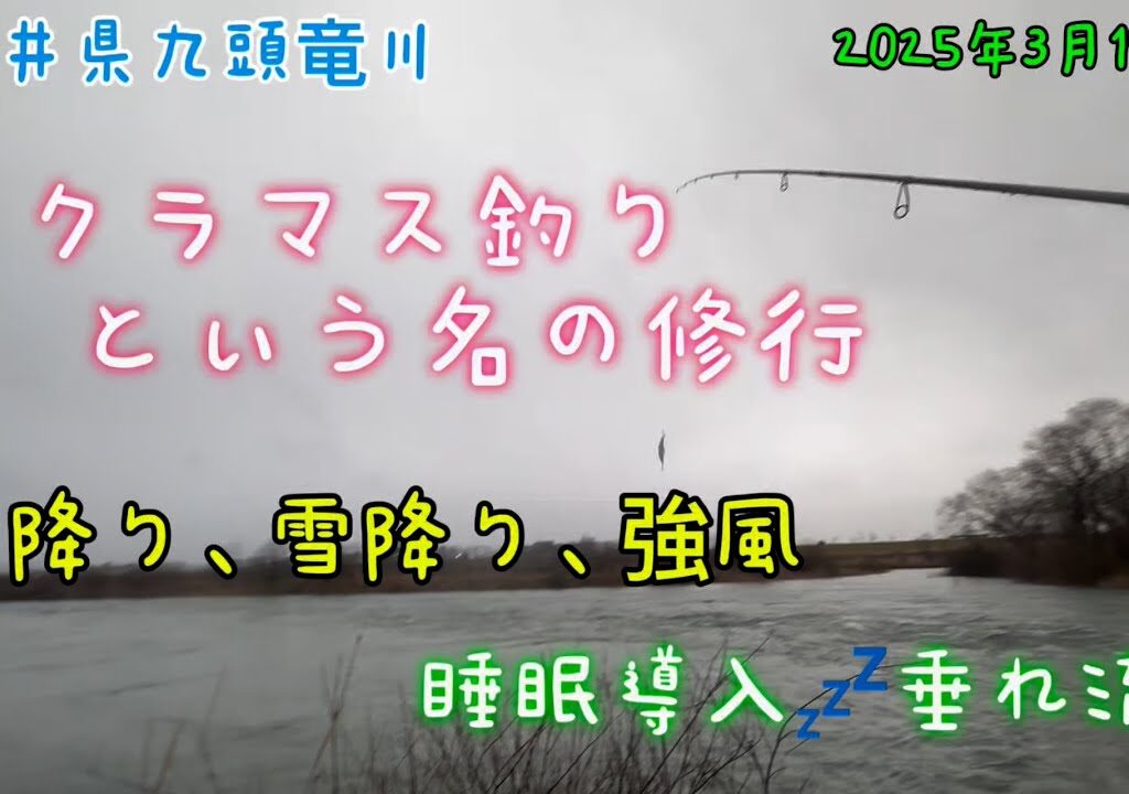 サクラマス釣りという名の修行　福井県九頭竜川　2025年初釣行　#九頭竜川　#サクラマス　#釣り　#睡眠導入　#垂れ流し
