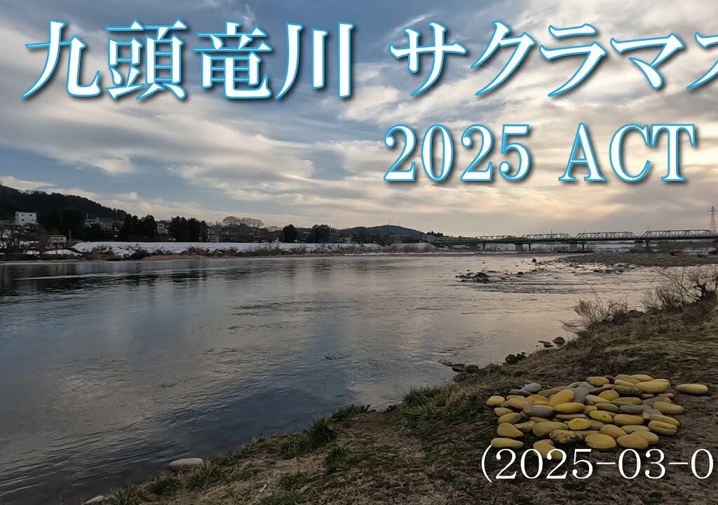 九頭竜川サクラマス 2025 ACT 2 2025-03-01