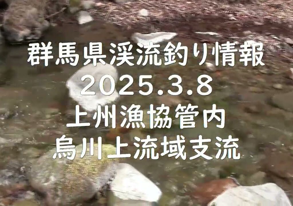 群馬県渓流釣り情報　2025.3.8　上州漁協管内　烏川上流域